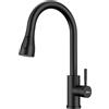 APPASO Rubinetto da cucina nero, miscelatore con doccetta estraibile, girevole a 360°, con 3 modalità di spruzzo, in acciaio inox, colore nero