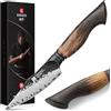 XINZUO 10,7cm Coltello Frutta da Cucina 67 Strati Acciaio Damasco Coltello per Sbucciare -Affilati Professionale Forgiato a Mano Finitura Martellata Spelucchino -Manico in Rovere Bianco e G10 Rosso