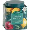 HP ITALIA Srl NEAVITA TISANA LIMONE ZENZERO 100 G