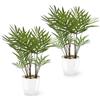 PASCH® Set di 2 Palme Artificiali Areca (25 cm) in Vasi in Ceramica Bianca: Piante Come Reali, in Vaso, Falso Pianta, Fiori