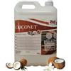 SCQ Soluciones con Química Sapone liquido per le mani da 5 l | Sapone liquido per tutti i tipi di pelle Ph neutro | Aroma di cocco | Gel per uso quotidiano pulisce e cura la pelle | Con buona schiuma.