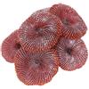 jiyaohui Decorazione Artificiale di di Pesci d'Acquario Ornamento di Piante di Mare di Corallo di Olicone Non Tossico Rosso