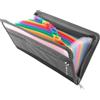 ZFRITP 1 raccoglitore A5, raccoglitore, portaoggetti, formato A5, con 13 scomparti, organizer per ricevute, con tasca frontale ed etichette colorate