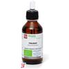 FITOMEDICAL SRL VIBURNO MACERATO GLICERICO 100 ML BIO