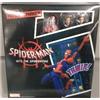 Sen-ti-nel NUOVO Sen-ti-nel Spider Man Spider Verse Sv-Action Peter B Parker DX Figure J...
