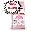 ROYAL CANIN GATTO BABYCAT & MOTHER 2 KG