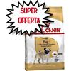 ROYAL CANIN CANE PUG CARLINO ADULT 7,5 KG