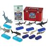 Colorata 3D Real Figure Box Sharks of the World Shark DX Action Figure Japan F/S
