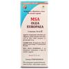 HERBOPLANET Srl MSA OLEA EUROPEA 50ML