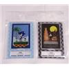 SEGA Sonic the Hedgehog Mini supporto acrilico Sonic Shadow set di 2