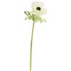 RITUALI DOMESTICI Anemone Fiorile Giallo