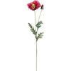 RITUALI DOMESTICI Papavero Fiorile Rosso