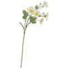 RITUALI DOMESTICI Anemone Fiorile Bianco