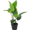 DRW Pianta artificiale dell'albero del viaggiatore con 2 tronchi e 10 fogli di PVC in verde 70x20x20cm