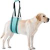 AIITLE Imbragatura di sollevamento per cani di grossa taglia - Imbracatura regolabile per zampe posteriori per cani anziani/disabili, facilita l'accesso alle scale/auto (Turchese, XL)