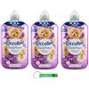 Beni Culinari 3 ammorbidenti Coccolino XXL Fresh & Protect, orchidee viola e mirtilli, ammorbidente concentrato, 76 lavaggi, 1750 ml + portachiavi Beni Culinari