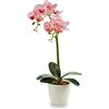 Gift Decor Vasi per fiori e piante