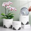 Set Di 10 Vasi Per Orchidee Trasparenti – Geli – Diametro 12 Cm, Capacità 0,7 Litri - 5