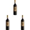 Bottega Acino d'Oro Chianti Classico DOCG - 750ml (Confezione da 3)