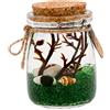 OMEM K - Kit per acquario in vetro con pallina di marimo (aegagropila linnaei)