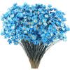 Larber 300 Pezzi Steli di Fiori Secchi Fiore Secco Margherita Fiore Essiccato Brasiliano Bianco Mini Fiori Secchi Bouquet Di Secchi Naturali Decorare Oggetti Di Decor (Blu)
