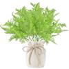 KASESSS 2 Pezzi Felce Piante Finte, Pianta Finta di felce di Boston, Foglie Finte per Decorazioni, Piante di Felce in Plastica Resistente Uv, Vasi da Fiori e Vasi Decorativi per Interni Ed Esterni