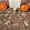 com-four® Set di Ossa da 9 Pezzi - Decorazione di Halloween - Scheletro Umano parziale in Parti - Ossa Artificiali Come Decorazione Anatomica per Feste (Set di Ossa da 9 Pezzi)
