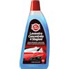 Tavola My Car, Lavavetro per Vaschetta, Azione Detergente e Sgrassante, Rimuove gli Insetti, Spazzole Più Scorrevoli, Anti-Congelante, 100 ml