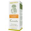 erbamea Cannella olio essenziale biologico 10 ml