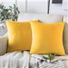 AMFUN Copricuscini in Velluto, 2 Pezzi Federe Cuscini in Velluto 45x45cm, Albicocca Velluto Copricuscini con la Cerniera Invisibile, Decorativi Federa per Cucina Sedia Soggiorno Camera da Letto