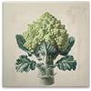 A.S. Création WTD DD132953 - Stampa su tela, motivo: Romanesco, colore: crema, beige, 50 x 50 cm