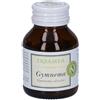Erbamea Srl Erbamea Gymnema Opercoli 23,5 g Capsule