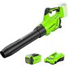 Greenworks Tools Greenworks 40V Soffiatore a Batteria, Velocità dell'aria 193,1 km/h, Volume d'aria 14,2 m³/min, Velocità Infinitamente Variabile(con 2Ah Batteria e Caricatore)
