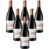 Barbera d'Asti MAGNUM Le Filere vino rosso 6 bottiglie 75 cl.