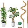 AMSGANK 2 Pezzi Bastone di Muschio, 120cm Palo di Muschio Pieghevole Supporti per Piante Fibra di Cocco Tutore Muschiato per Monstera per Piante Rampicanti da Interno