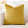 Artscope Federe Cuscini in Velluto Minimalista Copricuscino Colorato per la Decorazione Domestica Soggiorno Camera da Letto Divano 40x40cm, Oro