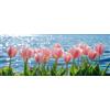 Bimkole DIY 5D Grande Diamond Painting Kit Completo Fai da Te Tulipano, Paesaggio Pittura Diamante Punto Croce Strass Arte E Creazione Di Mosaico Decorazione Murale Artigianale 30x80 cm