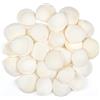 SKOOLOVE 30 Pezzi Conchiglie Marine 4-5 CM Piccole Conchiglie Bianche per Fai-da-Te, Pittura Artigianale, Decorazioni per Matrimoni in Spiaggia