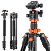 K&F CONCEPT Treppiede Fotocamera e Monopiede 158cm, Testa a Sfera 360° | Monopiede, Per DSLR/Mirrorless/Sony/Canon/Nikon, Portata 10kg, Alluminio con Supporto per Cellulare e Tablet, O254A1+BH-28L