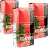 Yerbee Rosamonte Yerba Mate Tè Tradizionale 3kg | Set Mate Argentino | Bevanda disintossicante ed energetica