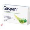 DR.WILLMAR SCHWABE GmbH&CO.KG GASPAN*14CPS MOLLI GASTRORES