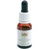 Green Remedies Mulla Mulla Essence Australian Gocce 15 Ml