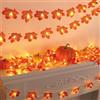 KATELUO Catena Luminosa Autunnale a Batteria, 3 Metri 20 LED Autunno Foglia d'acero Ghirlanda Luci Halloween, Foglie di Acero Luci Decorazioni Autunnali per Halloween, Ringraziamento, Natale, Feste