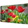 Hikvision Videowall LCD 55'' Hikvision DS-D2055UL-1B Full HD 1920x1080p/7.5ms/Nero [DS-D2055UL-1B]