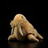 lilizzhoumax Peluche di tricheco 30cm/12pollice simulazione giocattolo morbido Anfibi artici Bambole Animali Selvatici Bambini e Amici Regalo per la festa di compleanno coccoloso - marrone