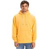 QUIKSILVER FELPA SALT WATER HOODIE ARANCIONE