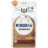 Forza10 Dog Active VetDiet Intestinal Colon Fase 2 Agnello e Sorgo - Sacco Da 10 Kg