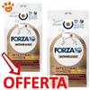Forza10 Dog Active VetDiet Intestinal Colon Fase 2 Agnello e Sorgo - Offerta [PREZZO A CONFEZIONE] Quantità Minima 2, Sacco Da 10 Kg