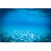 MIRRORANG 61x41cm Sottomarino Tema Acquario Sfondo Blu Strappato Acqua Subacquea Mondo Acquario Sfondo Acquario Sfondo