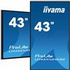 IIYAMA DS LH4341UHS 108Cm IPS 24/7 43/3840x2160/VGA/3xHDMI